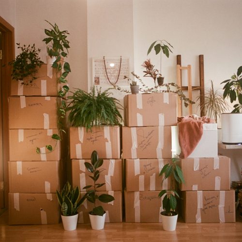 apartment moving services